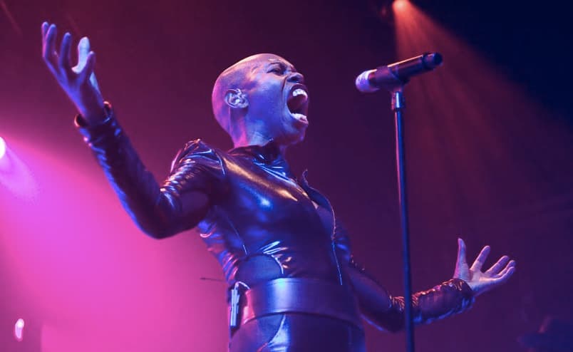 Skunk Anansie